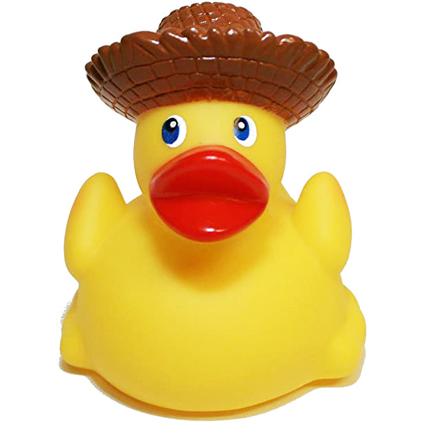 Tropical Duck