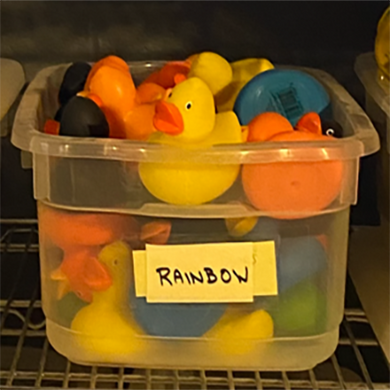 Classic Rainbow Ducks